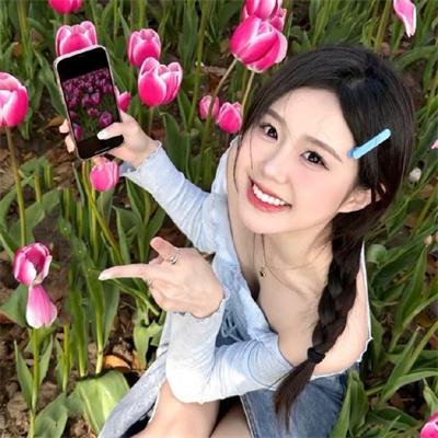 代号十三钗